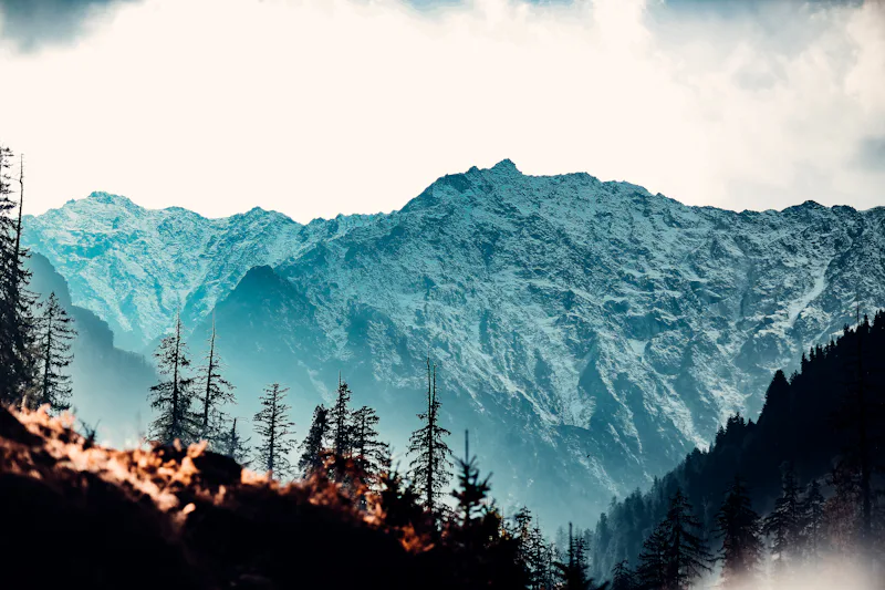 Snow-dusted Himalayan ridges above a misty pine forest