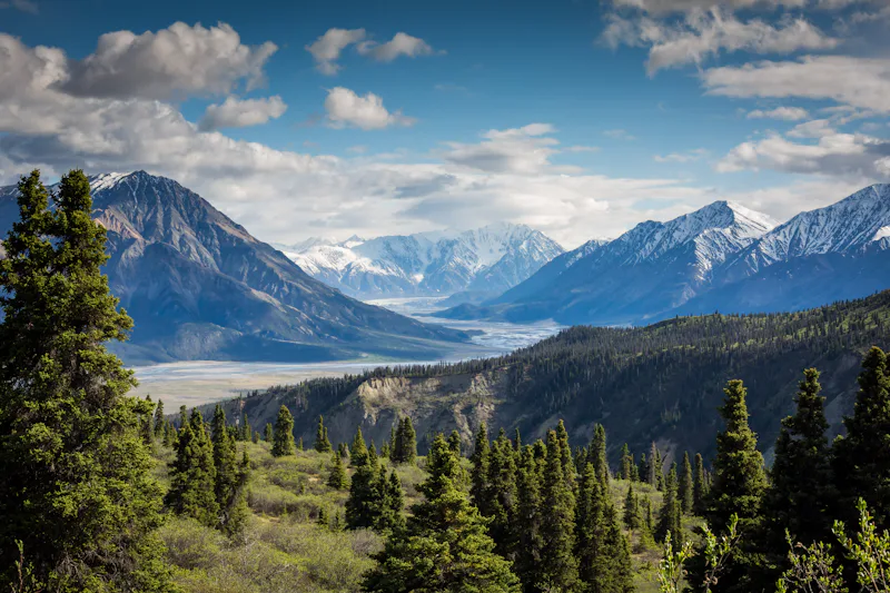 A broad green valley framed by evergreen forest and distant peaks