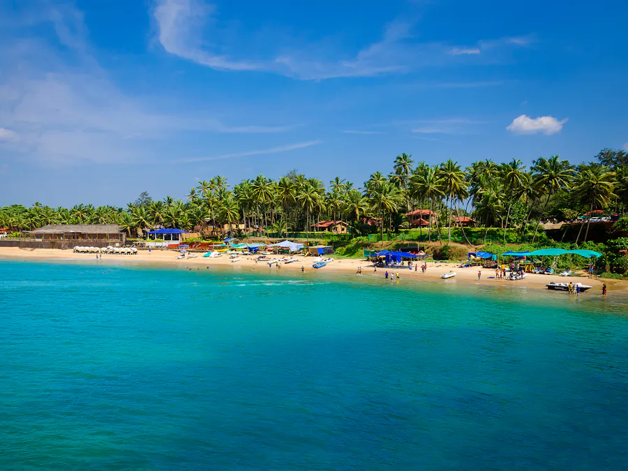 Turquoise water meeting a palm-fringed beach in Goa